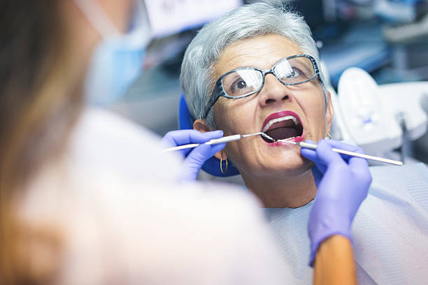 Reliable Winsted, MN Holistic Dental Care Services Solutions